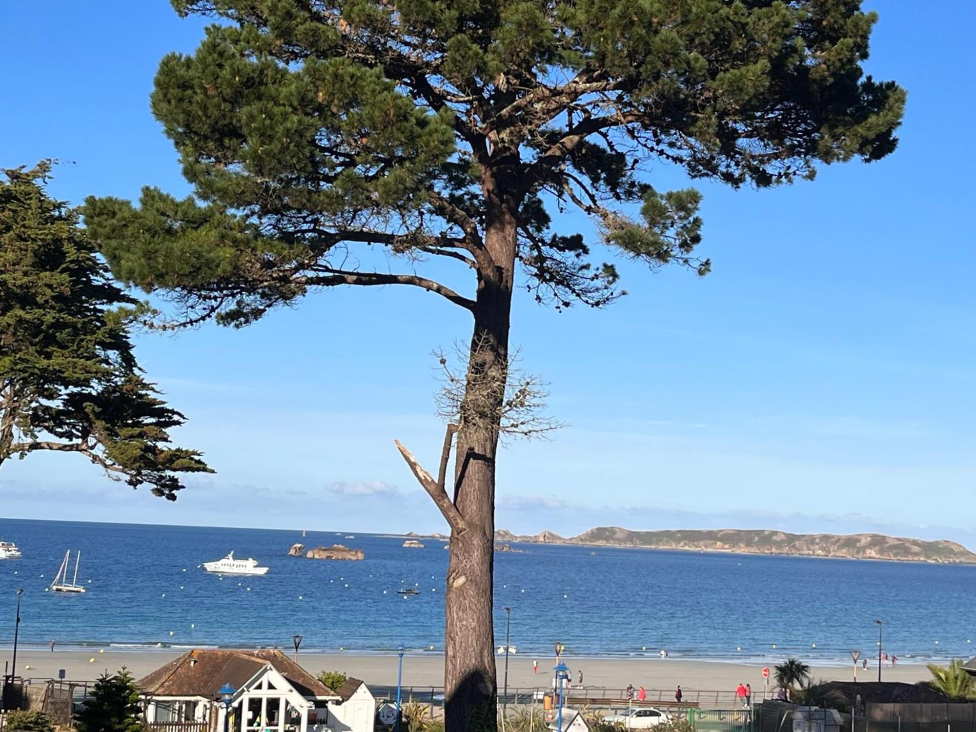 Appartement Acces Plage Perros-Guirec Eksteriør billede